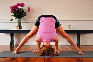 prasarita padottanasana